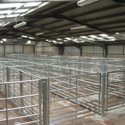 Refurbishment of Rhayader Livestock Market, Mid Wales