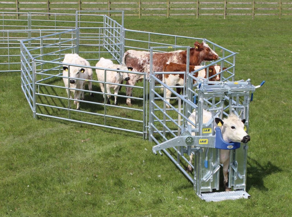 Portable Cattle Handling Kit