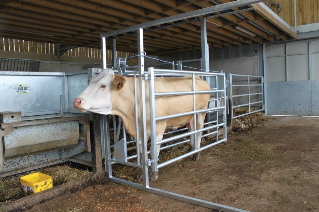 portable-cattle-handling-standard-calving-hurdle-iae-agriculture