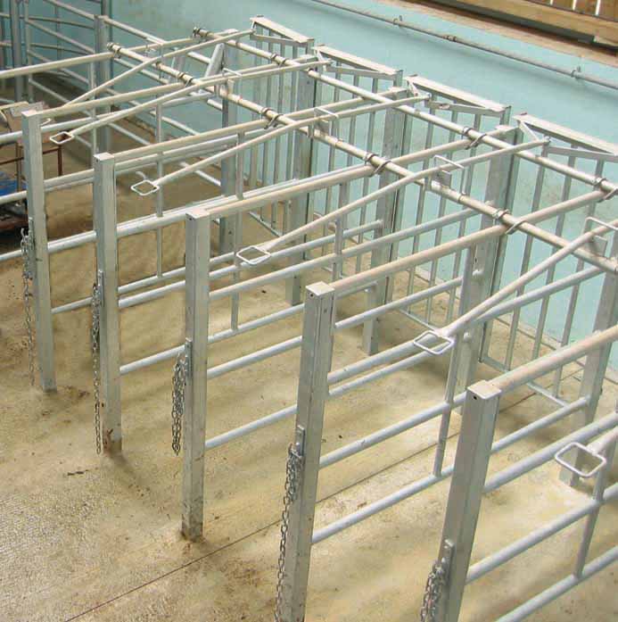 Rear Operating Front Opening Artificial Insemination (AI) Stalls