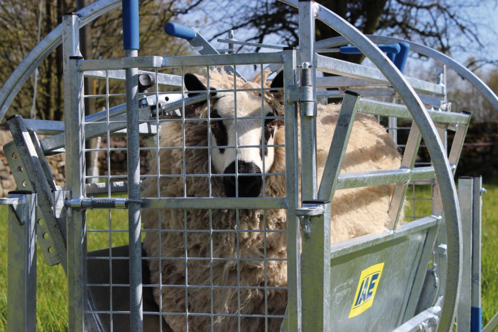 Kwik Sheep Turnover Crate
