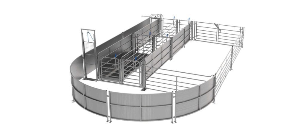 Sheep System D | Sheep Handling Systems | IAE Agriculture