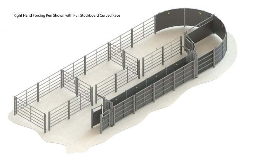 Fixed Cattle Handling Systems | Cattle Handling | IAE Agriculture