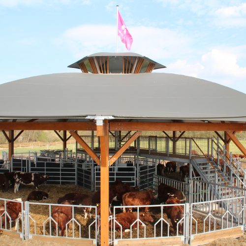 The Dream Roundhouse