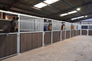 Horses in Equestrian Stabling