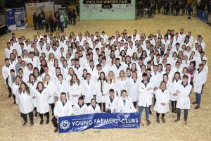 YFC Stock and Carcase Classes at the English Winter Fair