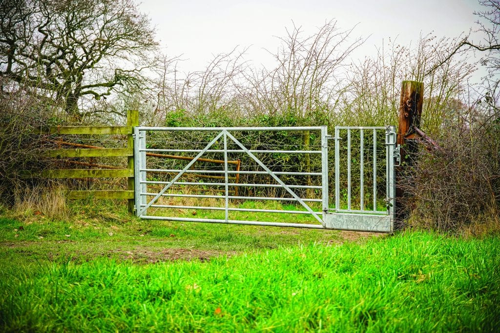 Gate in situ