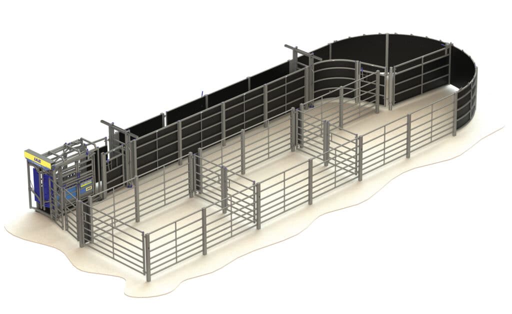 Fixed Cattle Handling System