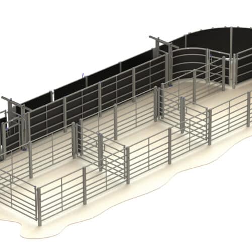 Why invest in a Fixed Cattle Handling System?